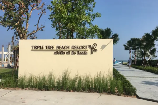 triple-tree-beach-D05