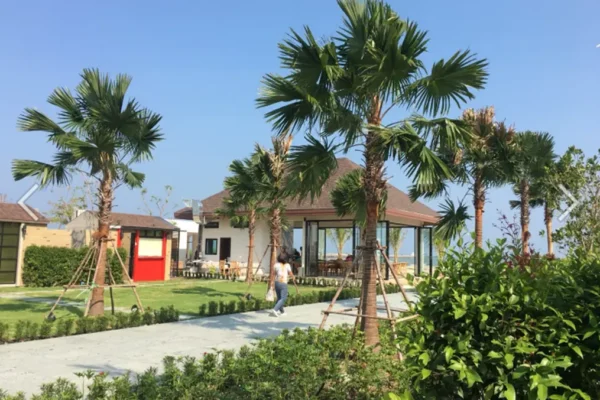 triple-tree-beach-D06