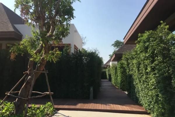 triple-tree-beach-D07